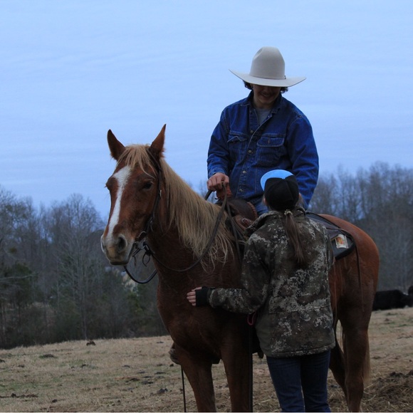 Meet your Posher, Taylor - Picture 5 of 8